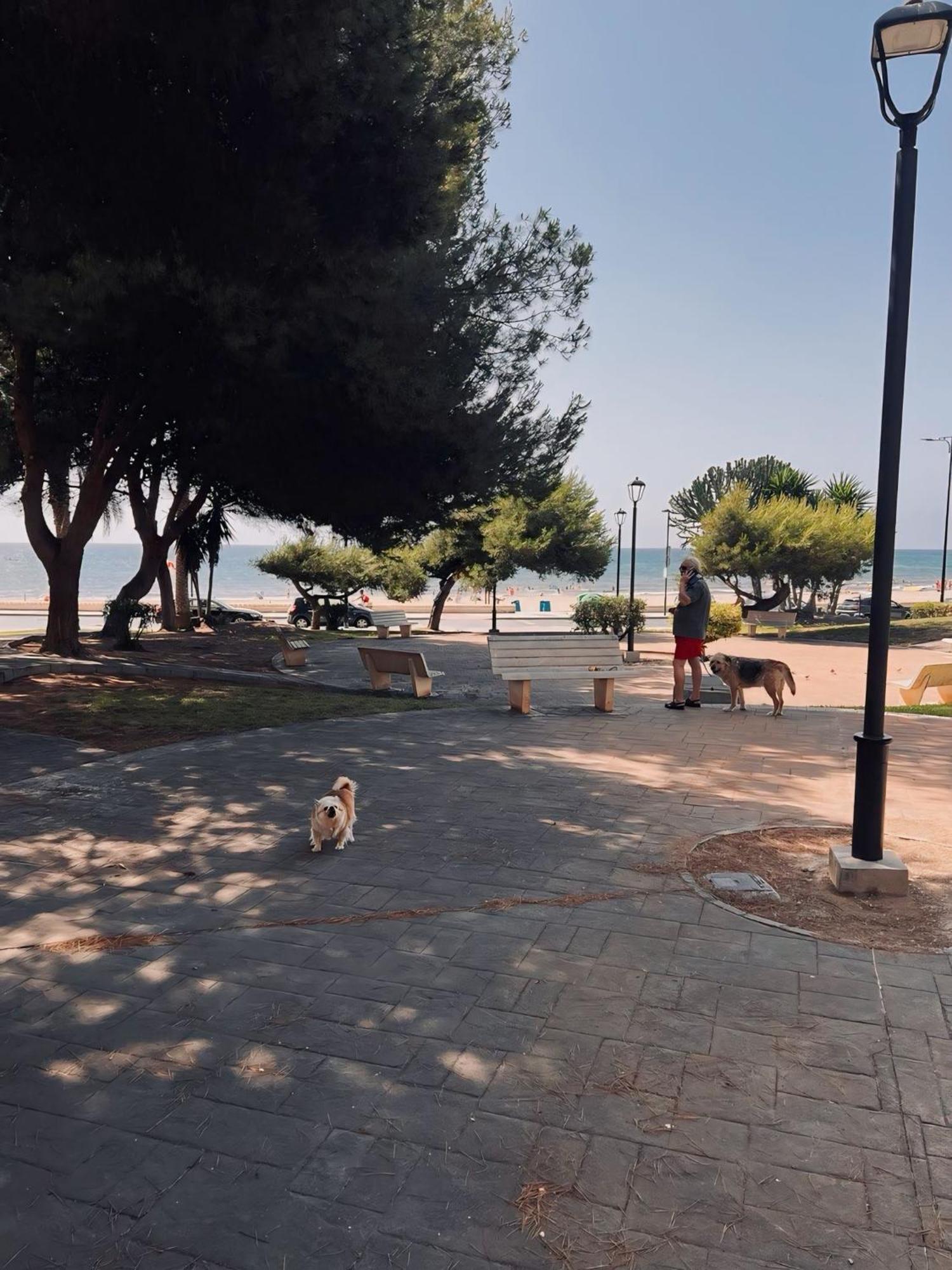 50 Pasos Hacia El Mar Apartment Ел Кампело Екстериор снимка